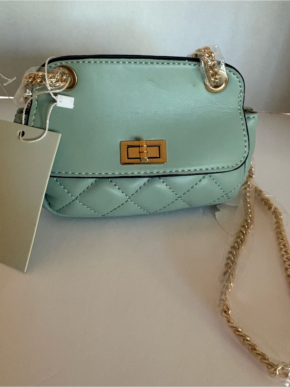 NWT Mint Green Quilted Mini Crossbody Bag Gold Chain Accent